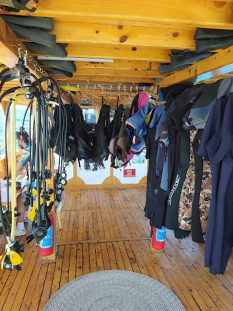 Side: Scuba Diving & Under Water Museum with Hotel Transfer - The Itinerary: What to Expect