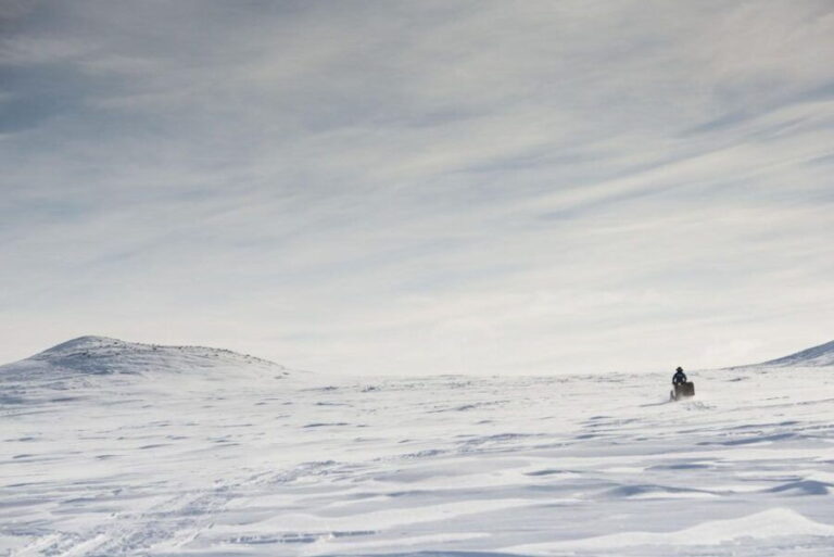 Snowmobile Adventure Abisko (Shared) - Final Thoughts