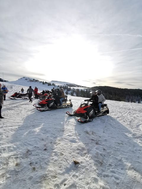 Snowmobile, ATV or Buggy Tour from Bucharest - Final Thoughts: Who Is This Tour Best For?