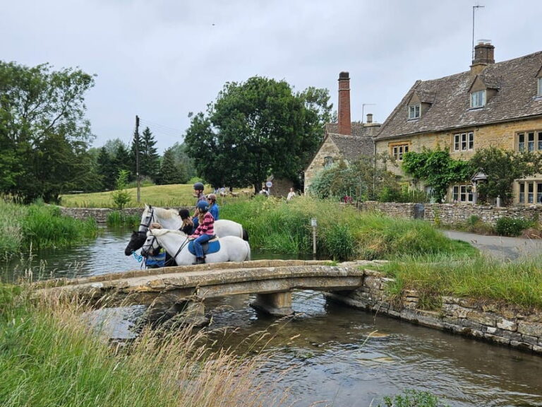 Southampton: Cotswolds Private Tour - About the Transportation & Guide