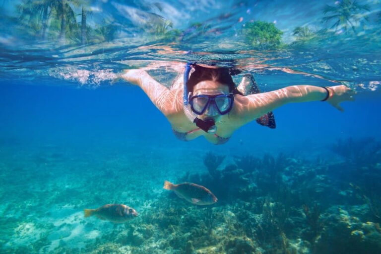 Speedboat tours Sakarun,Sunkenshipp,Veli Rat,Bozava;Muline.. - Who Should Do This Tour?