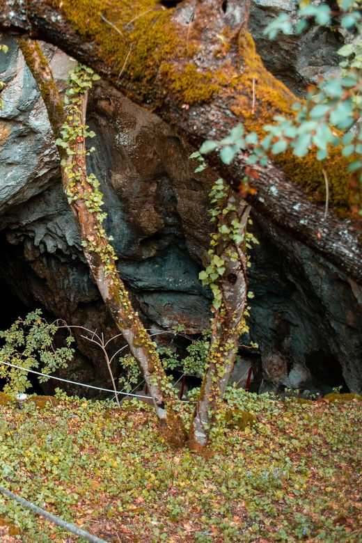 Split: Private tour to Klis Fortress and Vranjaa cave - What makes this tour special?  