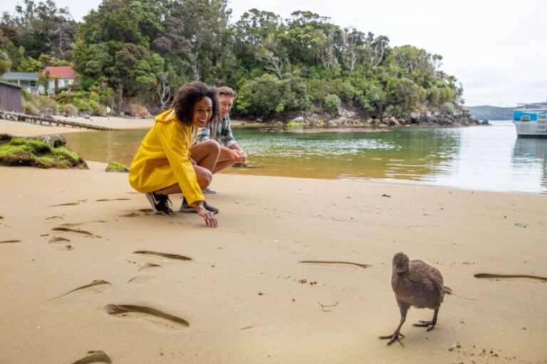 Stewart Island: Ulva Island Guided Wilderness Walk & Cruise - A Detailed Look at the Itinerary and Experience