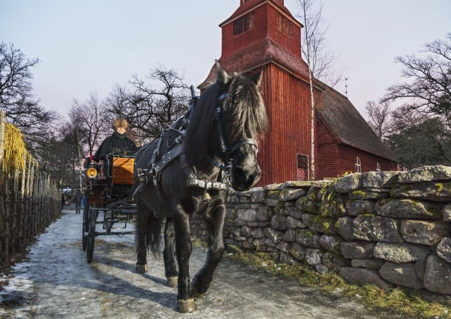 Stockholm: Skansen Open-Air Museum Admission Ticket - Encountering Nordic Animals