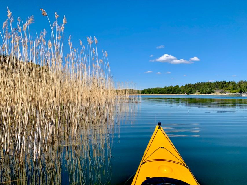 Stockholm: Sunset Kayak Tour in the Archipelago + Fika - An In-Depth Look at the Tour
