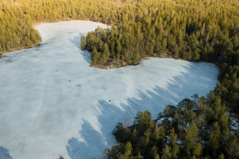 Stockholm: Winter Snowshoe Full-Day Hike - Practical Details: What You Need to Know