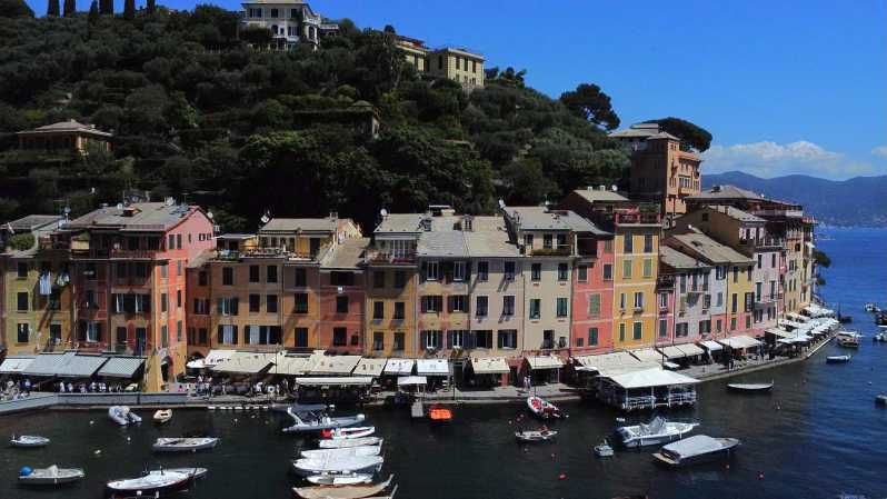 Swimming Cetacea Private Tour Boat Genova Portofino - What Makes This Tour Special