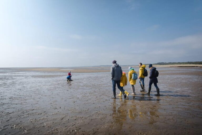 Sylt: Guided Mudflat Hike on the Island - Why This Tour Is Worth Considering