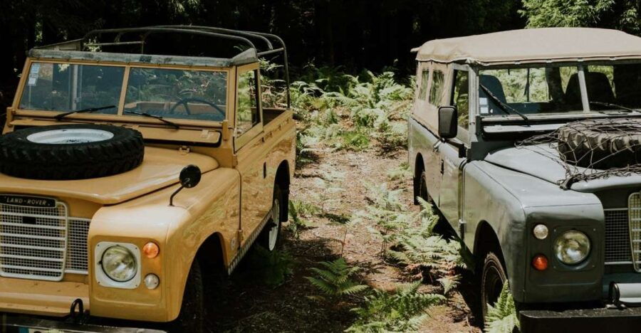 Terceira Island - Jeep Safari Tour (FD) - Final Thoughts