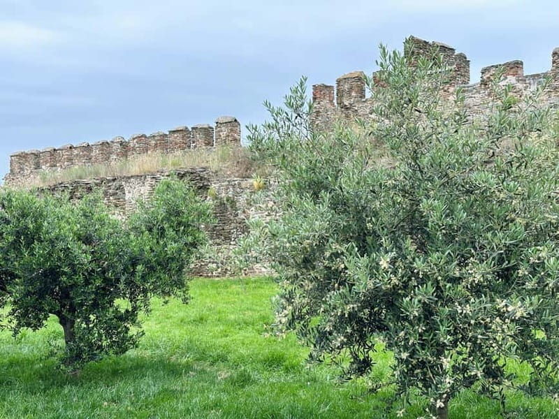Thessaloniki Old Town Walking Tour-Culture-Nature-Plants - What To Expect on the Tour