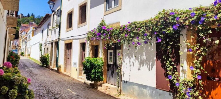 Tomar and Almourol: A Day of Templar Heritage (From Lisbon) - Who Should Consider This Tour?