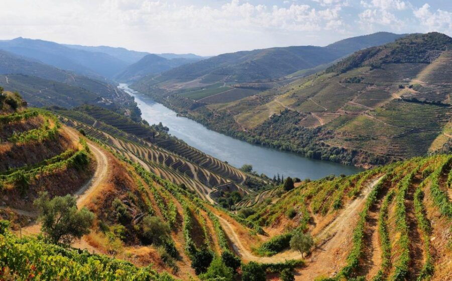 Tour Porto Douro Valley | The richness of Wine | ALL INCLUD. - The Value of the Tour