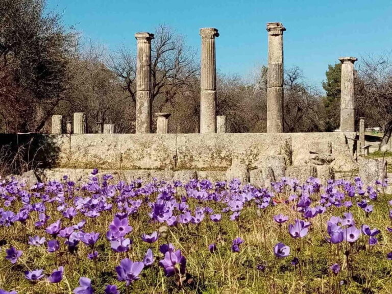 Tour to the archaeological site of Olympia by an archaeologist of Italian descent - Who Would Benefit Most?