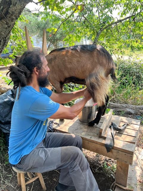 Trancoso: Farm eco-Tour with Tasting - Final Thoughts: Is this Tour Right for You?