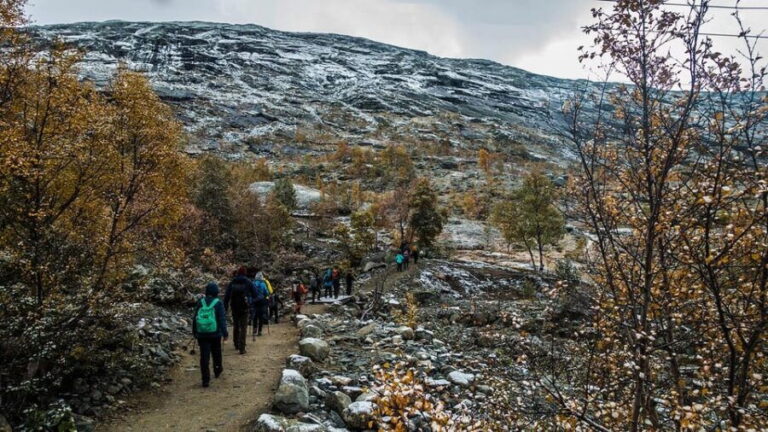 Trolltunga Autumn Hike Go Viking - Authentic Reviews That Highlight the Experience