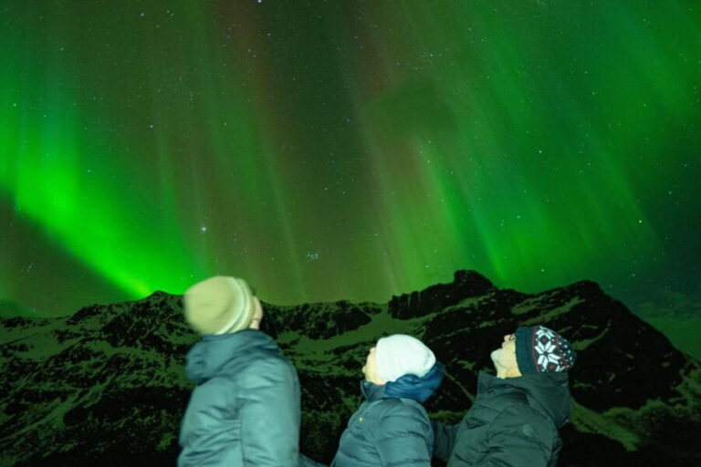 Tromsø Adventurous Northern Lights Small-Group - Value and Practical Considerations