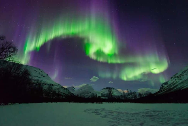 Tromsø: Aurora Hunt with Citizen Science - The Science and Citizen Contribution Element