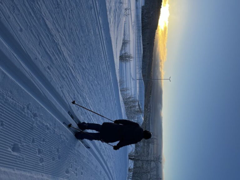 Tromsø: Cross Country Guided Skiing Course - Who Should Consider This Tour?