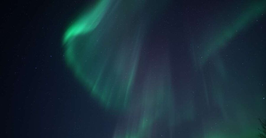 Tromsø: Evening Cruise with Northern Lights Opportunity - Final Verdict