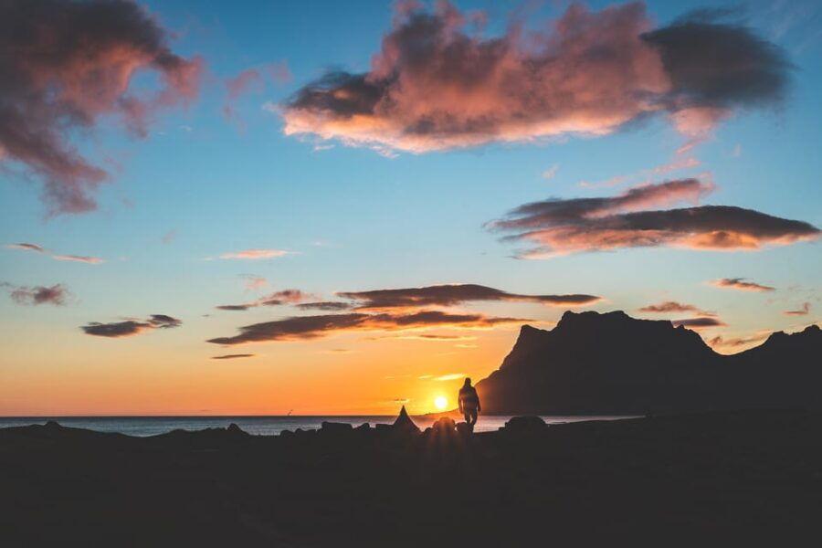 Tromso: Evening guided Fjord Expedition & Kvaløya Island - The Experience in Context