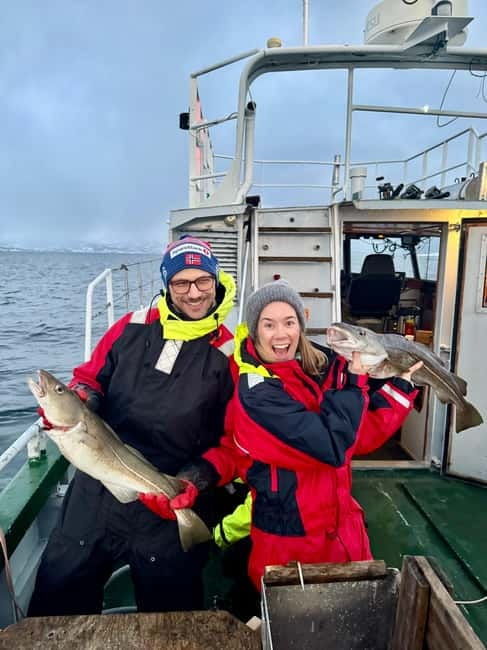 Tromsø: Fishing Sea Safari - Detailed Breakdown of the Itinerary