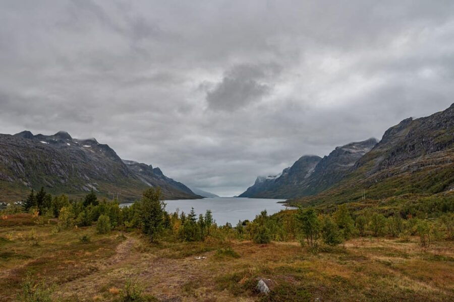 Tromsø: Kvaløya & Sommarøy Guided Tour - Final Thoughts