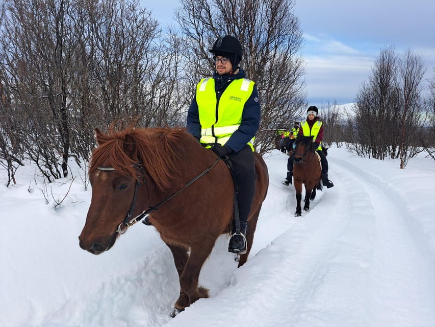 Tromsø: Lyngen Horse Winter Riding Experience - Why This Tour Offers Great Value