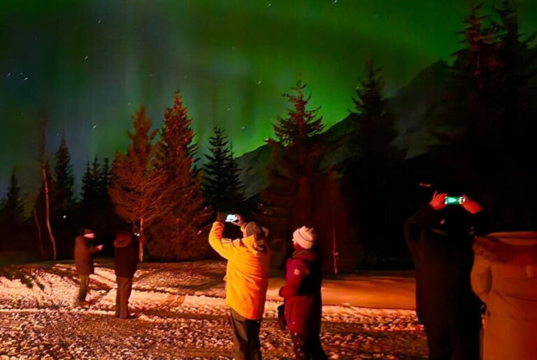 Tromsø: Northern Lights Hunt. Local Guide, Private Basecamp. - Who Will Love This Tour?