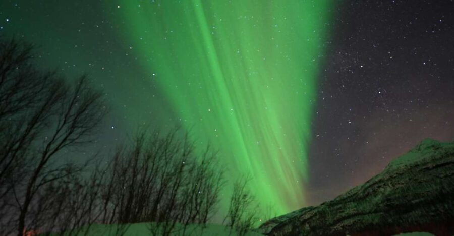 Tromsø: Northern Lights Minibus Small Private Tour Group - What to Expect Day of the Tour