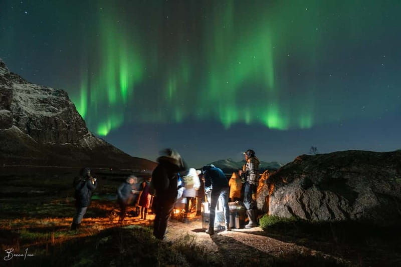 Tromsø: Northern Lights Safari - A Deep Dive into the Experience