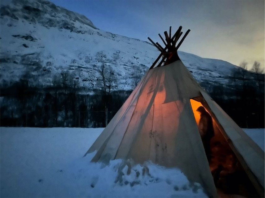 Tromsø: Reindeer Experience at a Sami Camp - The Value of the Experience