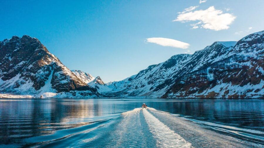 Tromsø Whale Safari with MS Keiser Wilhelm - The Experience in Detail