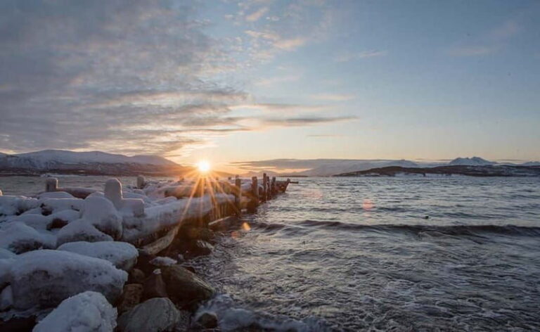 Tromsø: Winter Fjord Road Trip with Citizen Science - Detailed Breakdown of the Tour