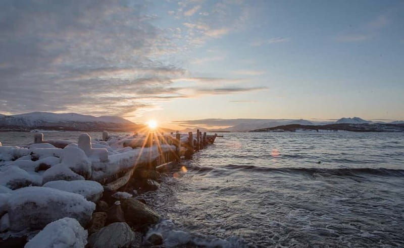 Tromsø: Winter Fjord Road Trip with Citizen Science - Detailed Breakdown of the Tour