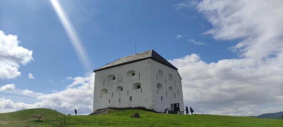 Trondheim: Audio Guide Panorama Bustour - Who Will Love This Tour?
