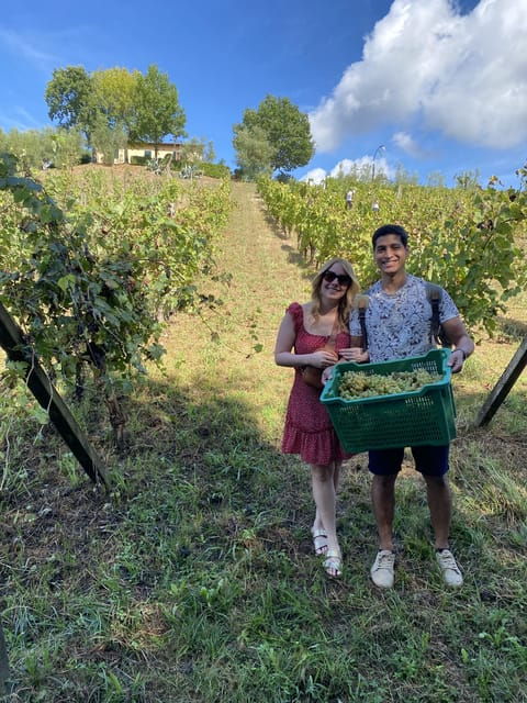 Tuscan Wine Tour by van from Lucca - Is It Worth the Price?  
