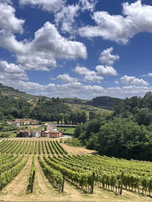 Tuscan Wine Tour by van from Pisa - The Journey Through Tuscany’s Vineyards
