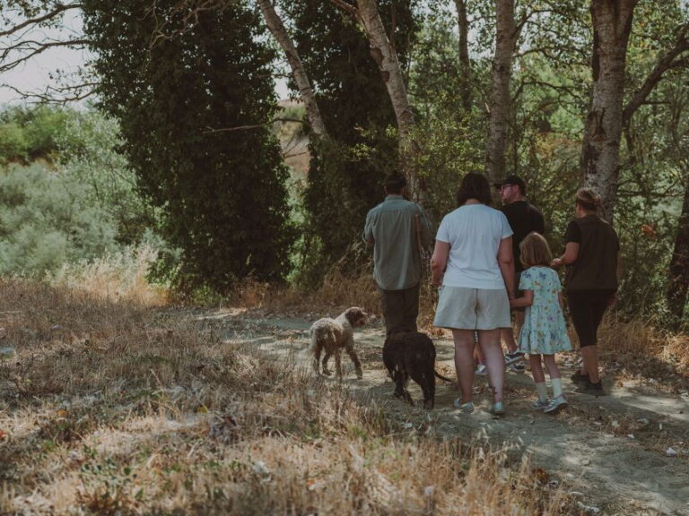 Tuscany: Volterra Truffle Hunting with Lunch or Dinner - An In-Depth Look at the Truffle Hunting Experience