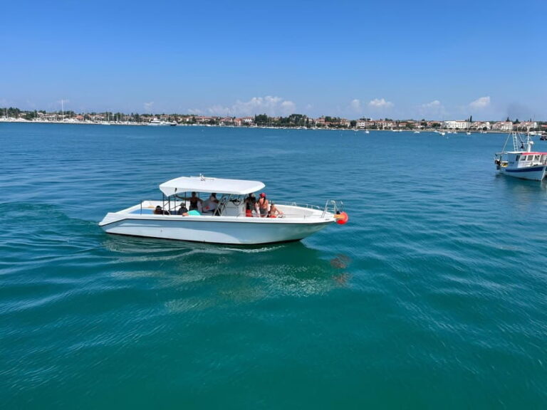 Umag: Dolphinwatching & sunset panorama tour - Real Traveler Insights