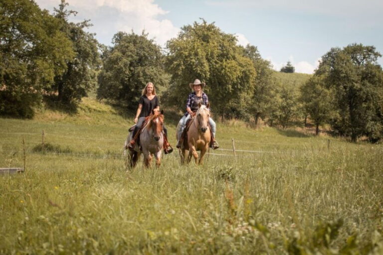 Upper Austria: landscape, forests, meadows - Final Thoughts: Is It Worth It?