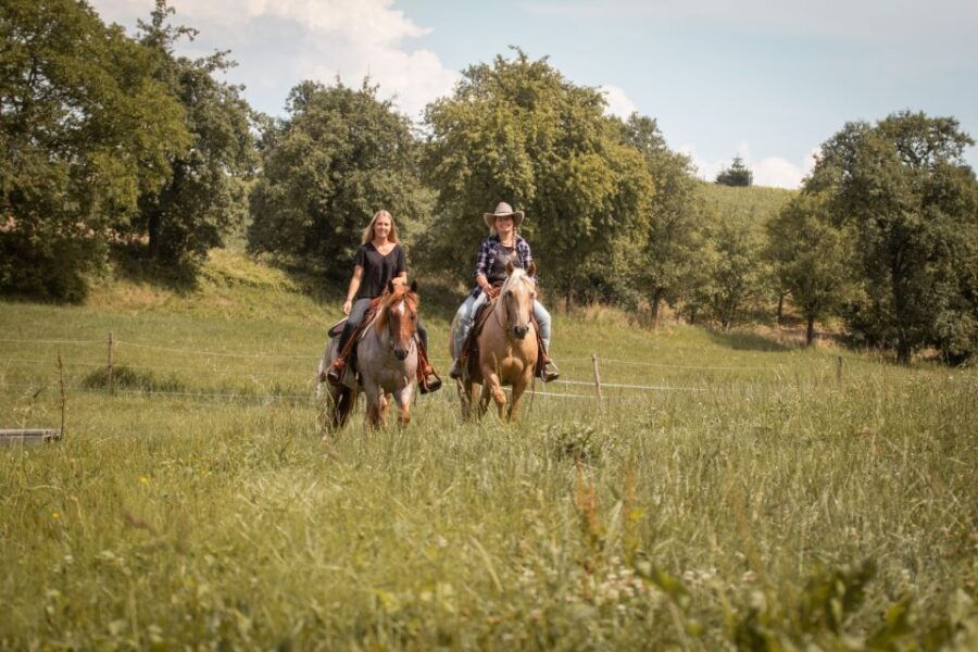 Upper Austria: landscape, forests, meadows - Final Thoughts: Is It Worth It?