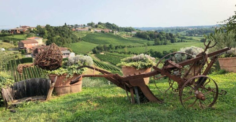 Venice: Prosecco Hills Wineries Tour with Tastings and Lunch - What You Can Expect from the Prosecco Hills Wineries Tour