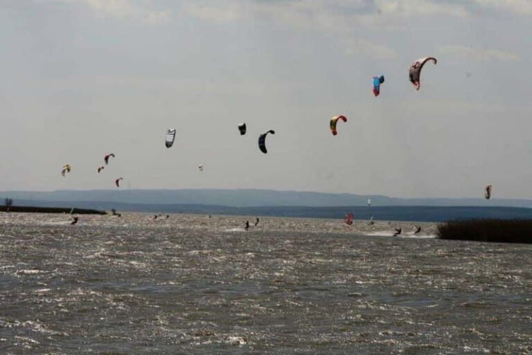 Vienna: Private tour Lake Neusiedl, Rust (wine tasting) Purbach - A Comprehensive Look at the Tour