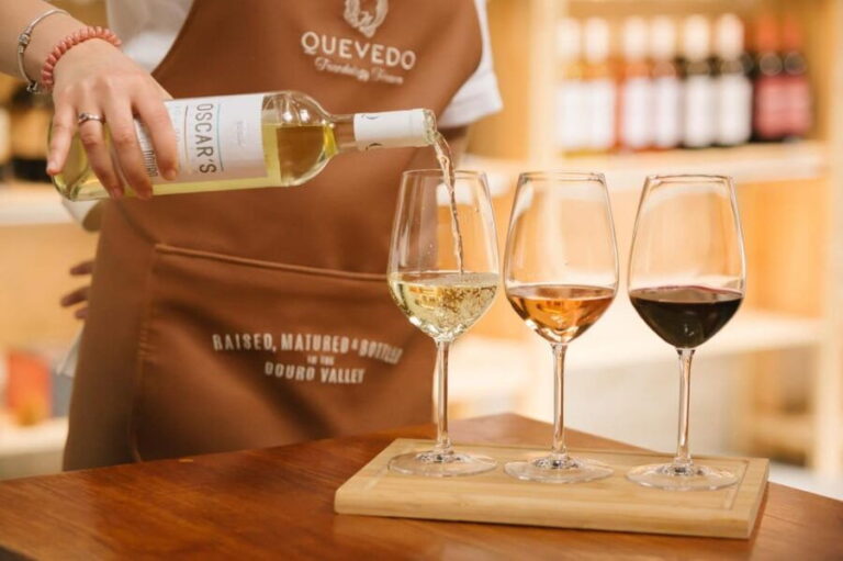 Vila Nova de Gaia: Douro Discovery - An Overview of the Douro Discovery Experience