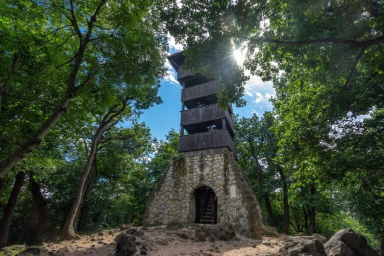 Walk to recent and aged spiritual sanctuaries near Budapest - A Deep Dive into the Experience