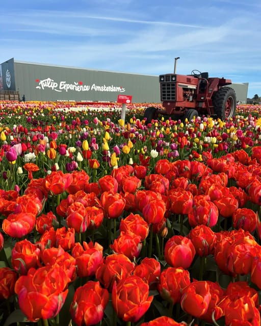 Warmond: Kagerplassen Cruise with "Tulip Experience" Ticket - Why This Experience Works