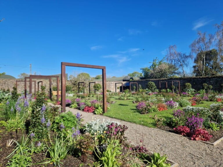 Wells House, Co Wexford: Entry, Picnic & Meerkat fun - What to Expect During Your Visit