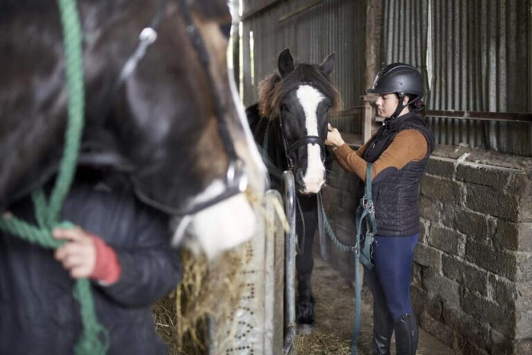 Westport: Beach and Countryside Guided Horse Ride - Final Thoughts