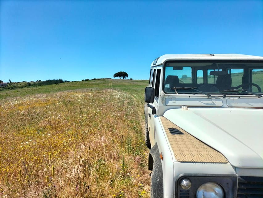 Winery, Tastings & 4WD Vineyards: Half-Day Trip from Lisbon - The Itinerary Breakdown: What to Expect