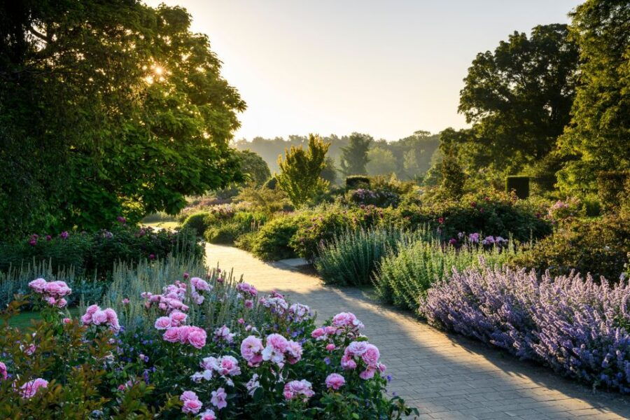 Woking: Royal Horticultural Society Wisley Garden Ticket - The Experience Breakdown: What You Can Expect